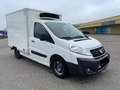 Fiat Scudo 2.0*Carrier Xarios 200*Klima*6-Gang* Weiß - thumbnail 8