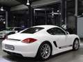 Porsche Cayman S 3.4 COUPE SPORT CHRONO PAKET PLUS Weiß - thumbnail 11