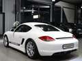 Porsche Cayman S 3.4 COUPE SPORT CHRONO PAKET PLUS Weiß - thumbnail 10