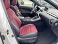 Lexus NX 300 SPORT 155CV  AUTO Blanc - thumbnail 12