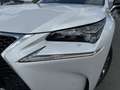 Lexus NX 300 SPORT 155CV  AUTO Blanc - thumbnail 5