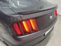 Ford Mustang Mustang 2,3 EcoBoost Grün - thumbnail 7