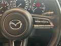 Mazda CX-30 Selection X 186 PS *AWD*Leder*Premium*Design* Rot - thumbnail 18