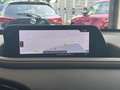 Mazda CX-30 Selection X 186 PS *AWD*Leder*Premium*Design* Rot - thumbnail 17