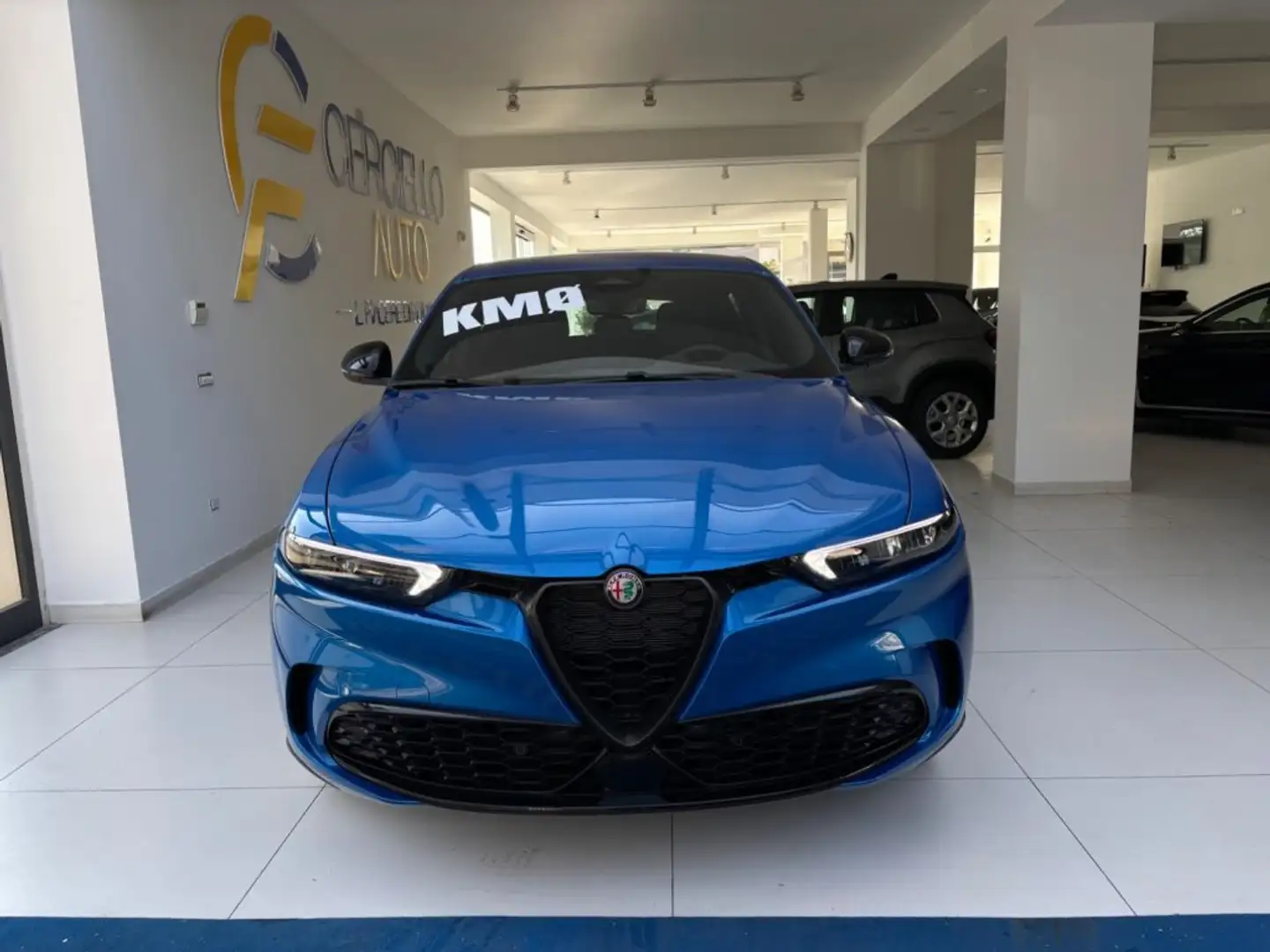 Alfa Romeo Tonale 1.6 diesel 130 CV TCT6 Sprint TUA DA €349,00 Blu/Azzurro - 2
