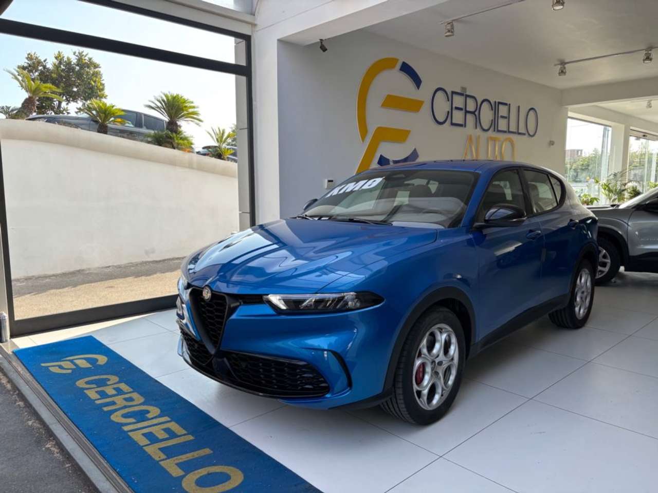Alfa Romeo Tonale 1.6 diesel 130 CV TCT6 Sprint TUA DA €349,00