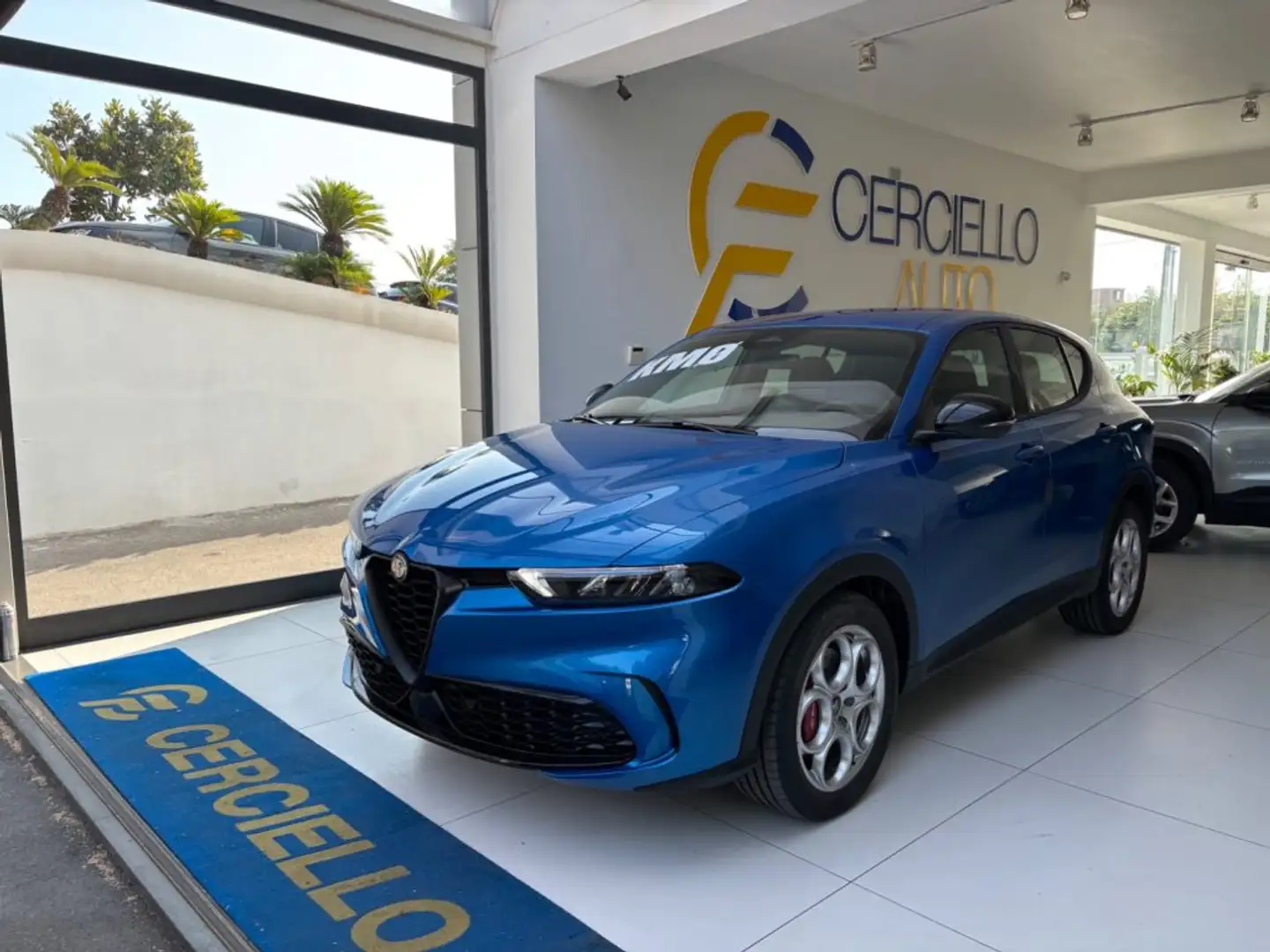 Alfa Romeo Tonale 1.6 diesel 130 CV TCT6 Sprint TUA DA €349,00 Blu/Azzurro - 1