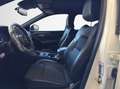 Nissan Qashqai 1.3 Mild Hybrid N-Connecta Bianco - thumbnail 7