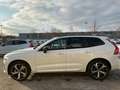 Volvo XC60 B4 Plus Dark 2WD ACC PANO Standhz Allwetter Weiß - thumbnail 3