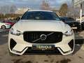 Volvo XC60 B4 Plus Dark 2WD ACC PANO Standhz Allwetter Weiß - thumbnail 9