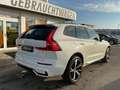 Volvo XC60 B4 Plus Dark 2WD ACC PANO Standhz Allwetter Weiß - thumbnail 6