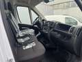 Opel Movano 2.2 165PS L3H2 VA Selection Temp, PDC, Komfortsitz Blanc - thumbnail 6