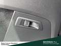 Skoda Kodiaq Ambition TDI DSG Sicherheits-Paket Fahrassistenz-P Blauw - thumbnail 20