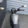 Benelli Leoncino Grau - thumbnail 3