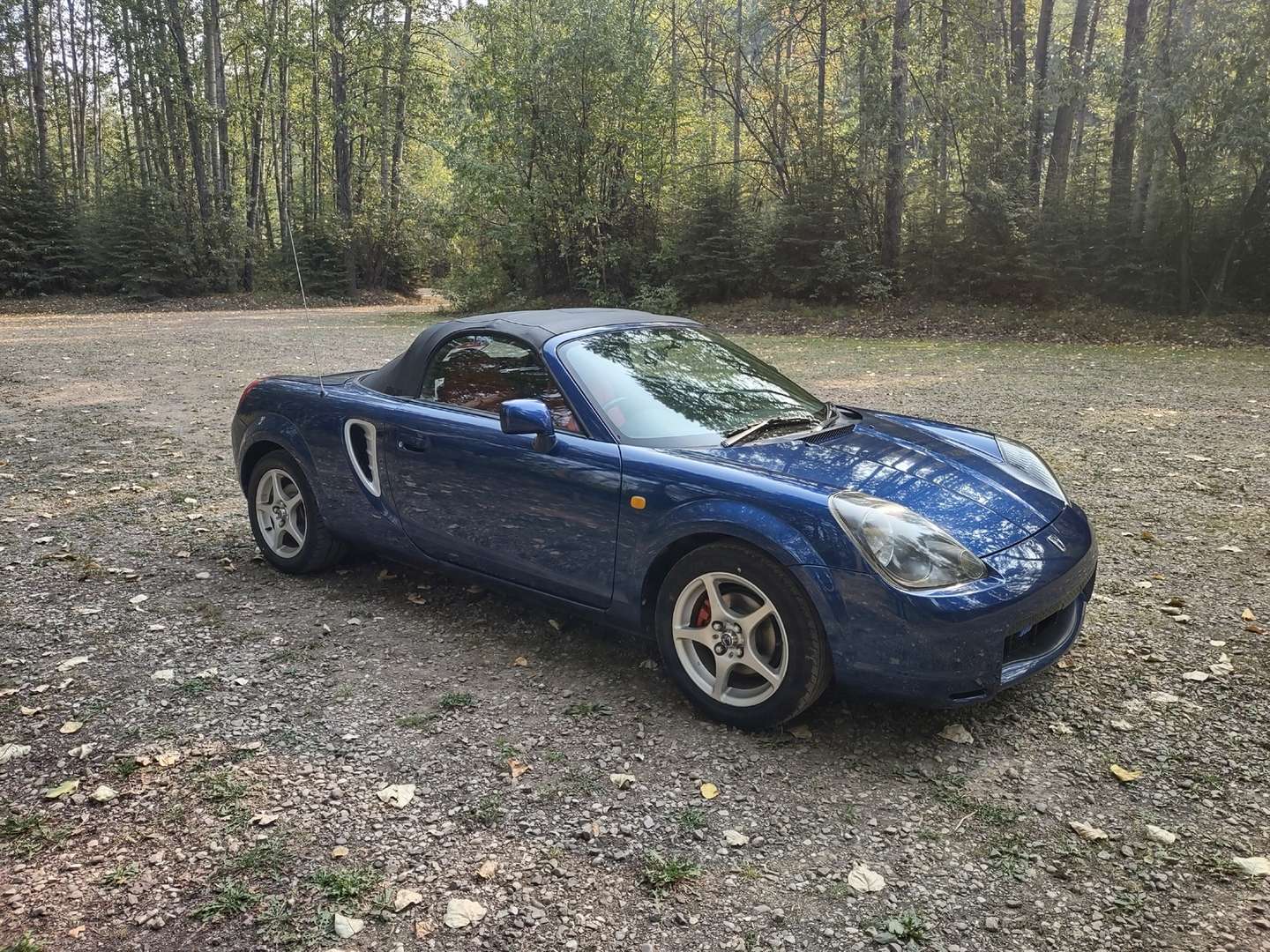 2000 Toyota MR 2 | $ 14,000 | 73,000 km Convertible for sale by