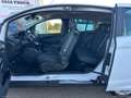 Ford B-Max 1.5 TDCi 75 CV Weiß - thumbnail 14