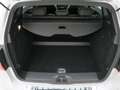 Mercedes-Benz B 150 B-CLASS URBAN 1.5D 109 CV 7G-DCT AUTO 5P - thumbnail 15