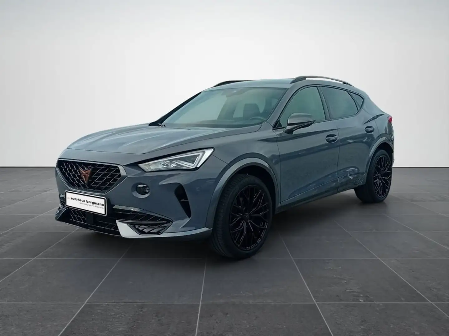 CUPRA Formentor 1.5 TSI DSG Gris - 1