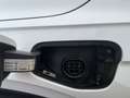 Volkswagen Tiguan Elegance eHybrid T.Leder Matrix RFK AHK Weiß - thumbnail 28