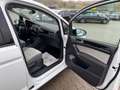 Volkswagen Touran Highline BMT/Start-Stopp Bianco - thumbnail 16