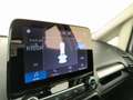 Ford EcoSport 1.5 ecoblue titanium s&s 100cv my19 Argent - thumbnail 8