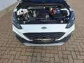Ford Focus 1.0 EcoBoost Active*Automatik*SHZ*Android* Blanco - thumbnail 7