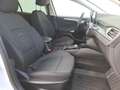 Ford Focus 1.0 EcoBoost Active*Automatik*SHZ*Android* Blanco - thumbnail 10