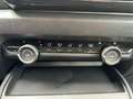 Citroen C4 Lim. Live *WENIG KILOMETER* Azul - thumbnail 18