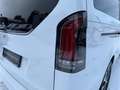Mercedes-Benz Marco Polo V 250 d  Markise+360°+AHK2,5to+Leder Weiß - thumbnail 12