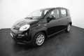 Fiat Panda 1.0 FireFly Hybrid s&s 70cv - Km0 Zwart - thumbnail 3