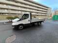 Iveco Daily 35S14 Scattolini Pritsche Weiß - thumbnail 1