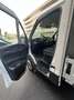 Iveco Daily 35S14 Scattolini Pritsche Blanc - thumbnail 10