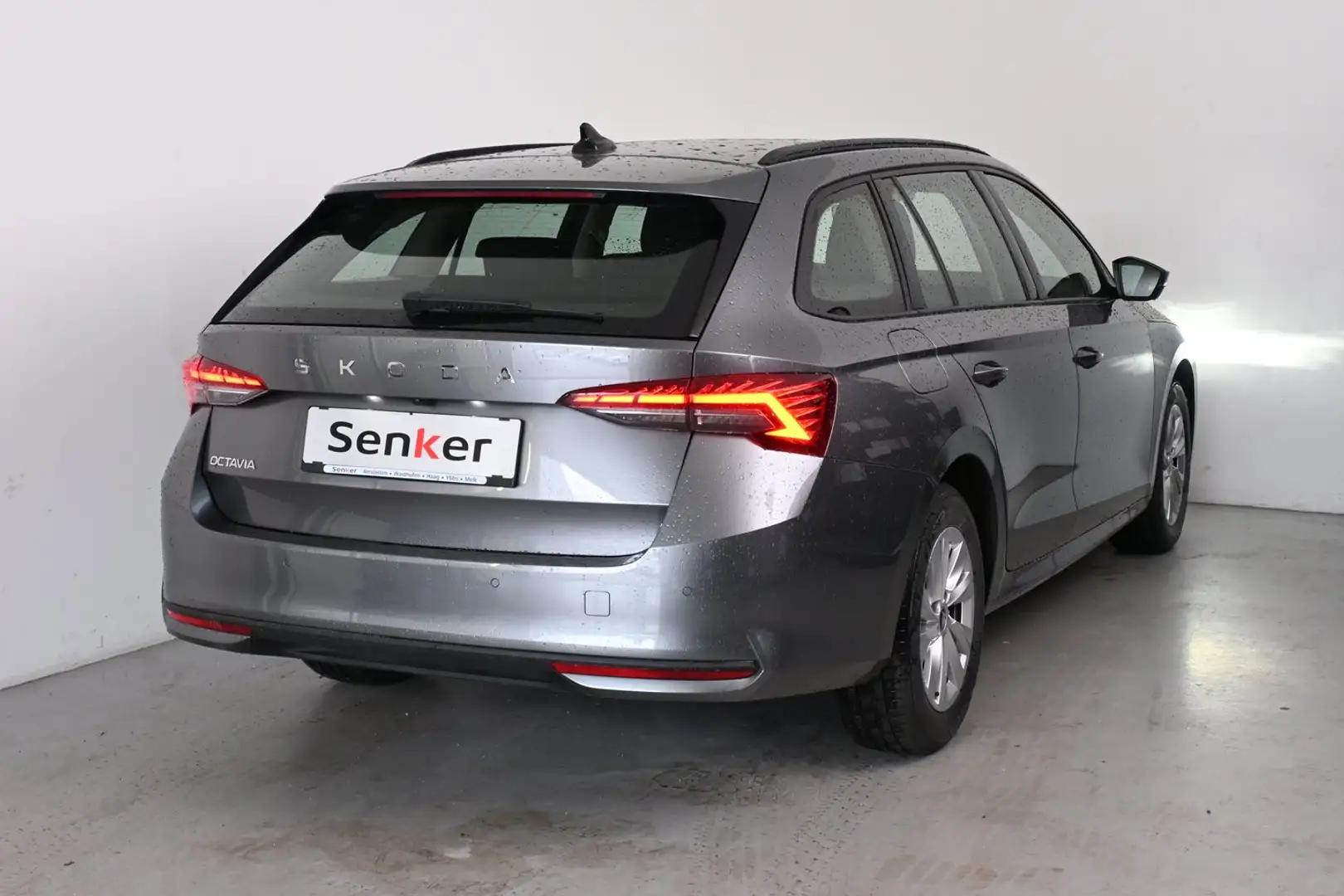 Skoda Octavia Selection TDI DSG Grau - 2