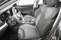 Skoda Octavia Selection TDI DSG Grau - thumbnail 11