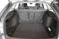 Skoda Octavia Selection TDI DSG Grau - thumbnail 8