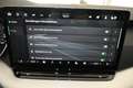 Skoda Octavia Selection TDI DSG Grau - thumbnail 24