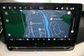 Skoda Octavia Selection TDI DSG Grau - thumbnail 21
