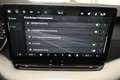 Skoda Octavia Selection TDI DSG Grau - thumbnail 25