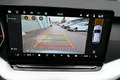 Skoda Octavia Selection TDI DSG Grau - thumbnail 22
