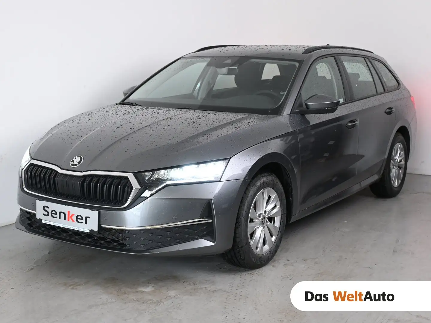 Skoda Octavia Selection TDI DSG Grau - 1