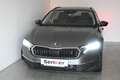 Skoda Octavia Selection TDI DSG Grau - thumbnail 3