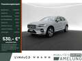 Volvo XC60 T6 Recharge Core AWD STANDHZ LED PANO Grau - thumbnail 1