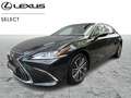 Lexus ES 300 Executive Line Schwarz - thumbnail 1