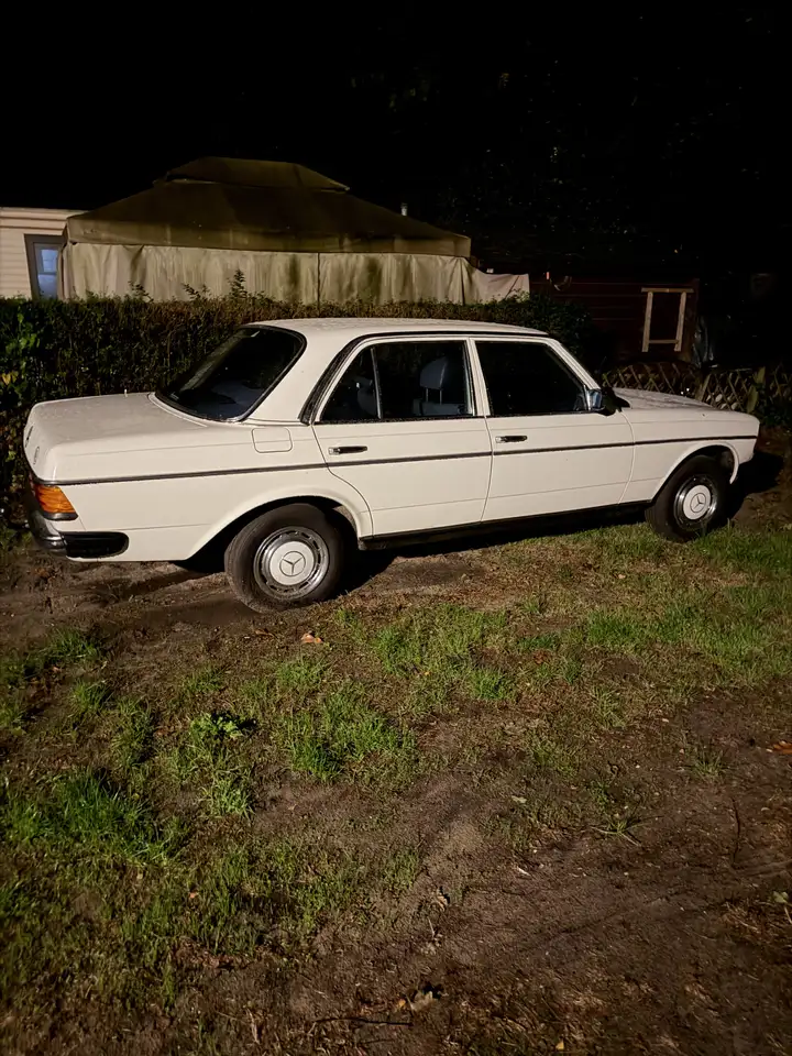 Mercedes-Benz E 230 W123, foto 7