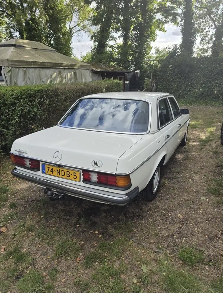 Mercedes-Benz E 230 W123, foto 2