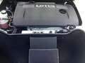 Lotus Elise Sport 220 Bianco - thumbnail 14