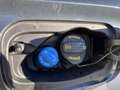 CUPRA Formentor Formentor 2.0 TDI 4Drive DSG Grau - thumbnail 16