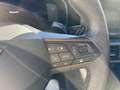 CUPRA Formentor Formentor 2.0 TDI 4Drive DSG Grau - thumbnail 38