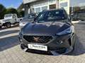 CUPRA Formentor Formentor 2.0 TDI 4Drive DSG Grau - thumbnail 1