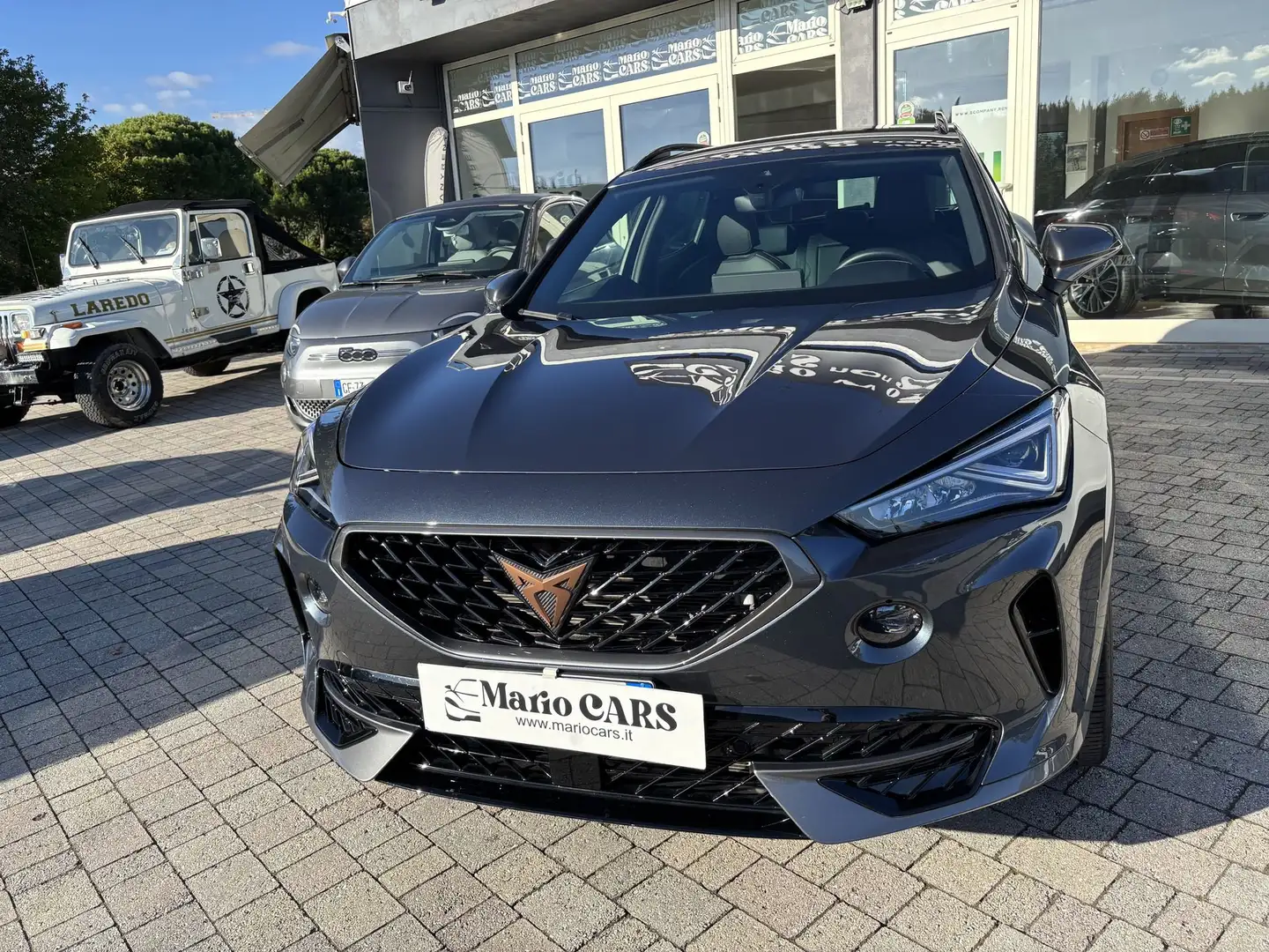 CUPRA Formentor Formentor 2.0 TDI 4Drive DSG Grau - 1
